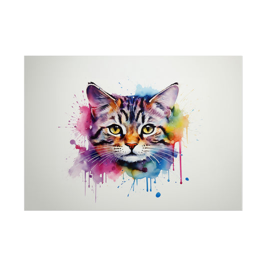 Rainbow American Shorthair Cat