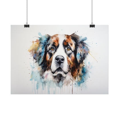 Rainbow Saint Bernard