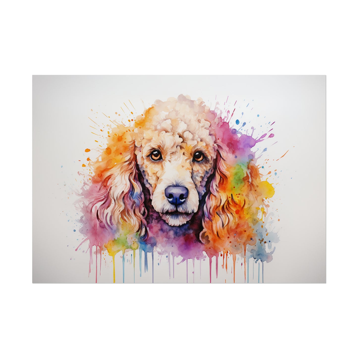 Rainbow Poodle