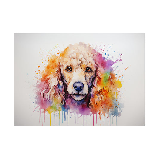 Rainbow Poodle