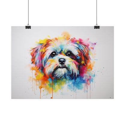 Rainbow Shih Tzu