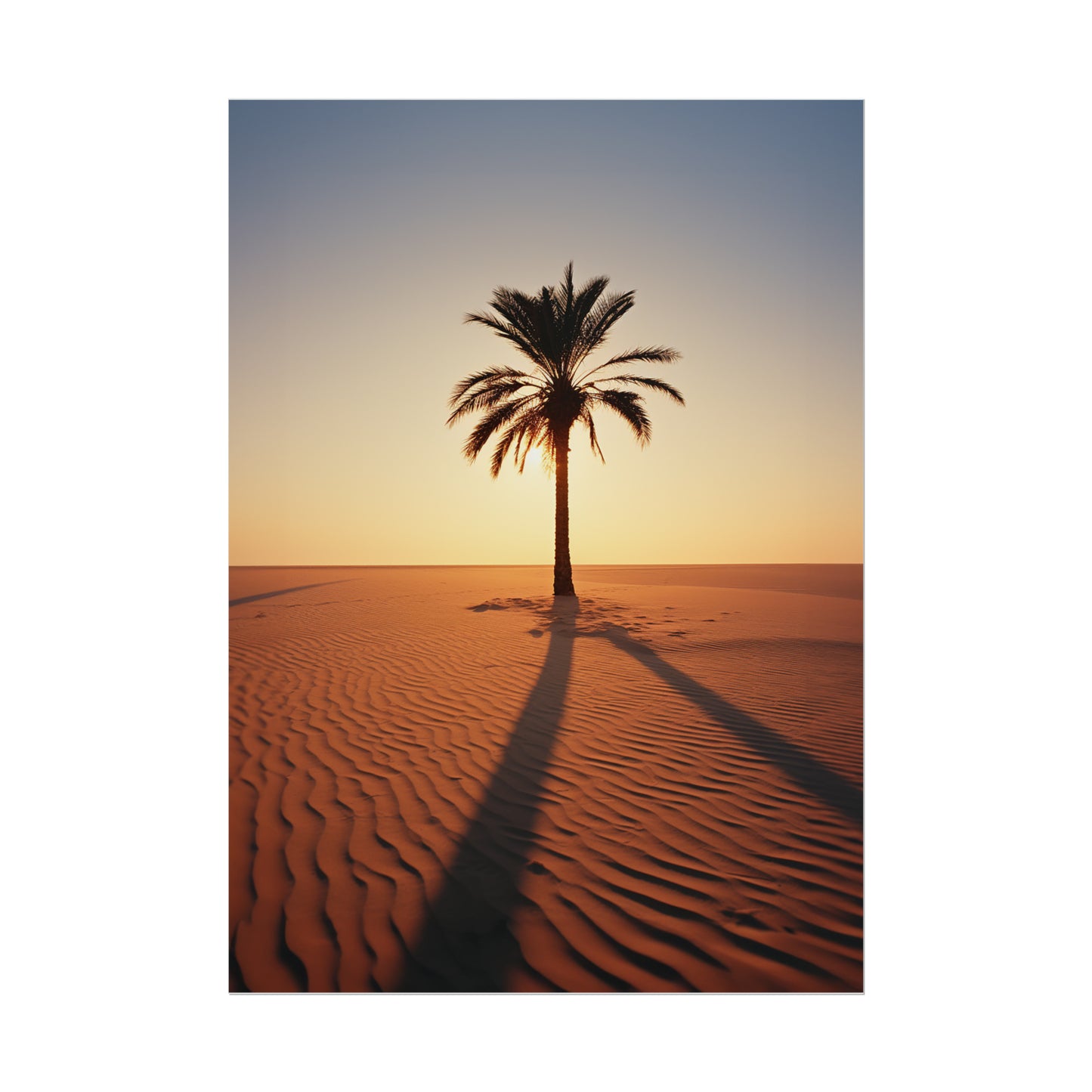 Sunset Palm