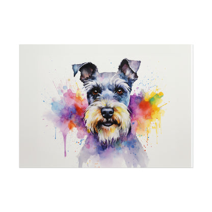 Rainbow Schnauzer