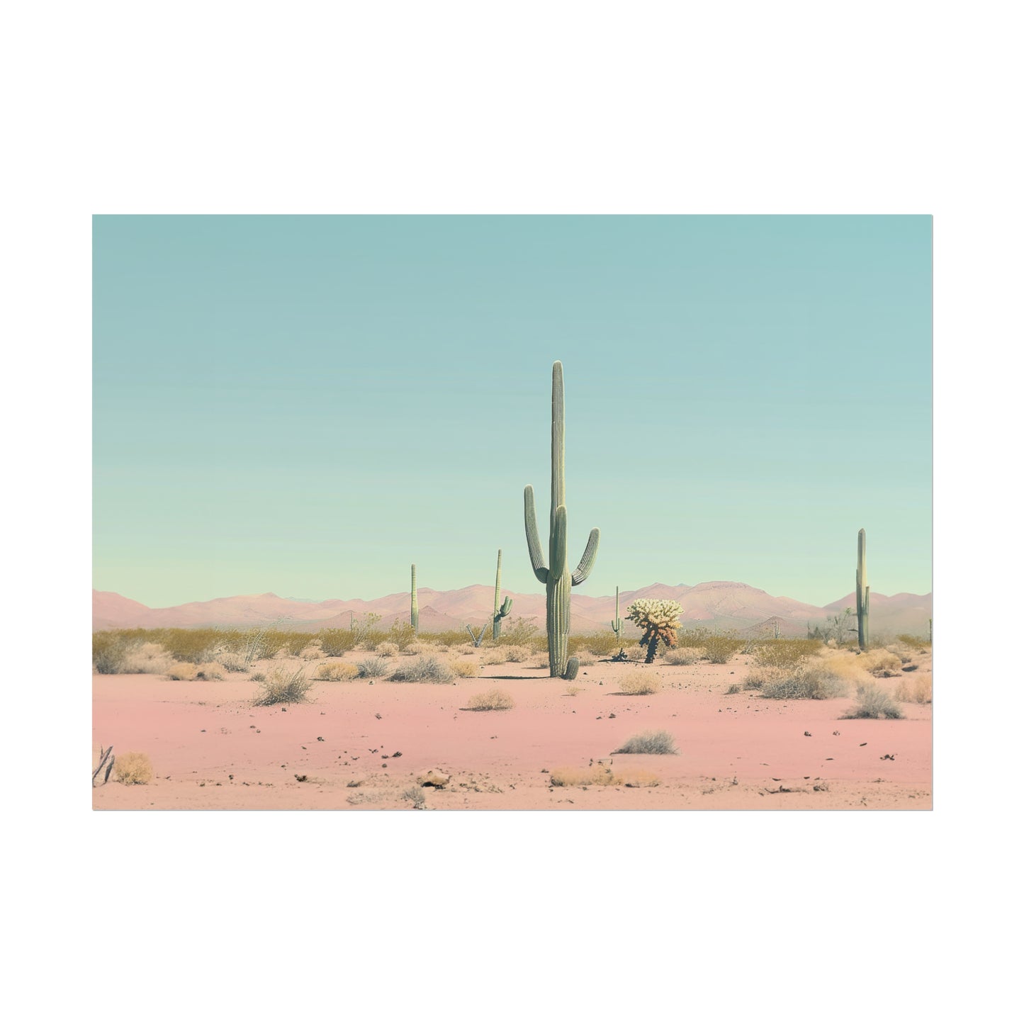 Desert Cactus