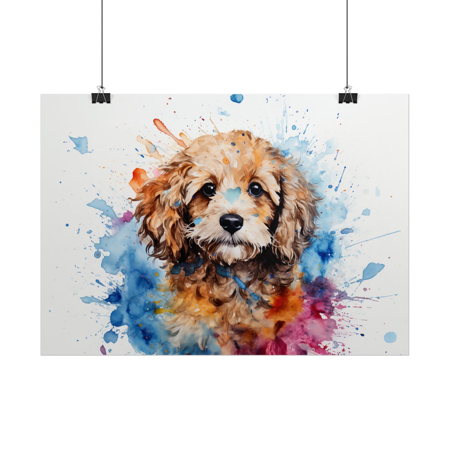 Rainbow Cavapoo