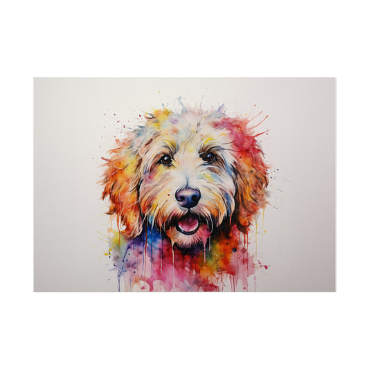 Rainbow Labradoodle