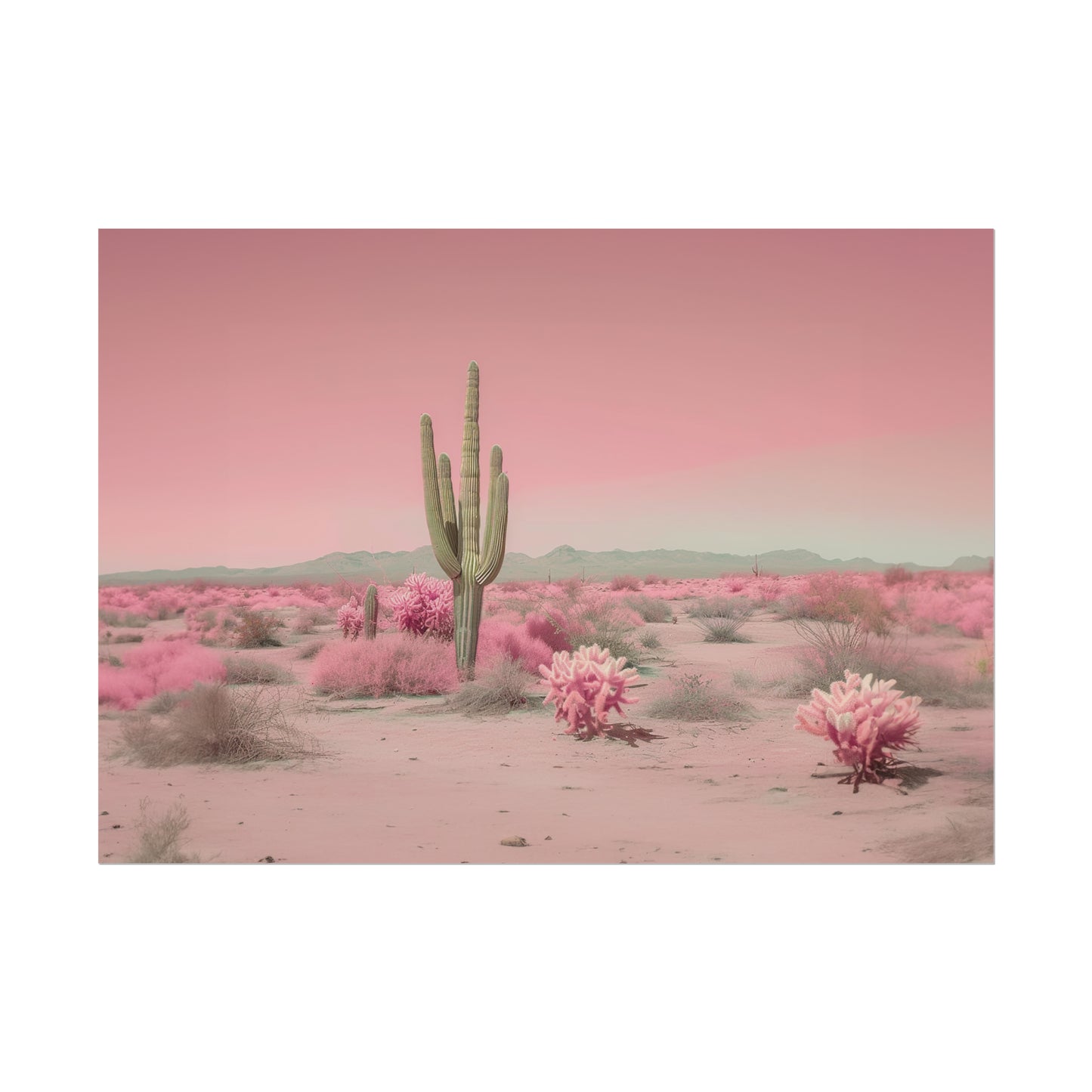 Pink Desert Cactus