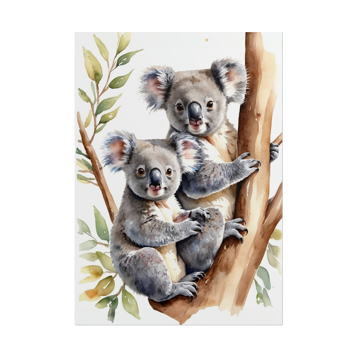 Koala Cuddles