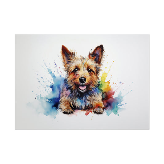 Rainbow Australian Terrier