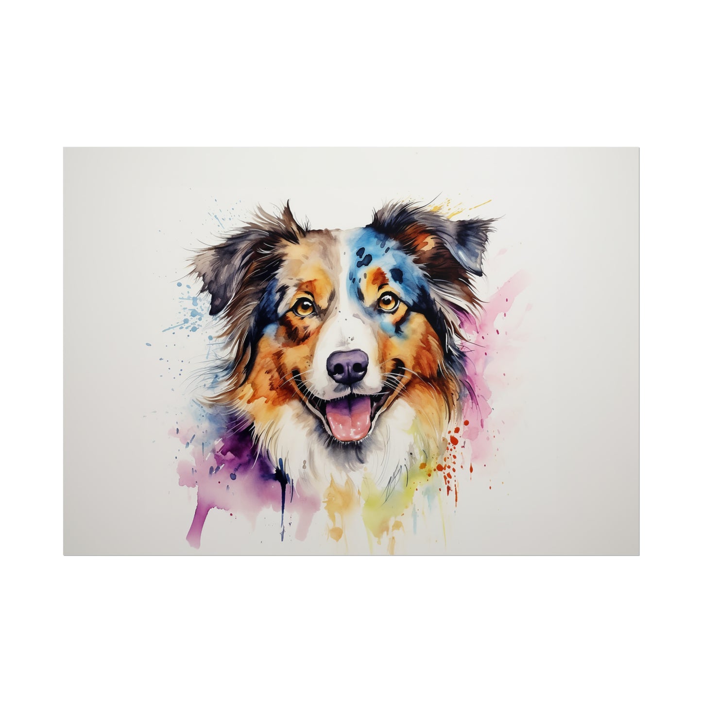 Rainbow Australian Shepherd