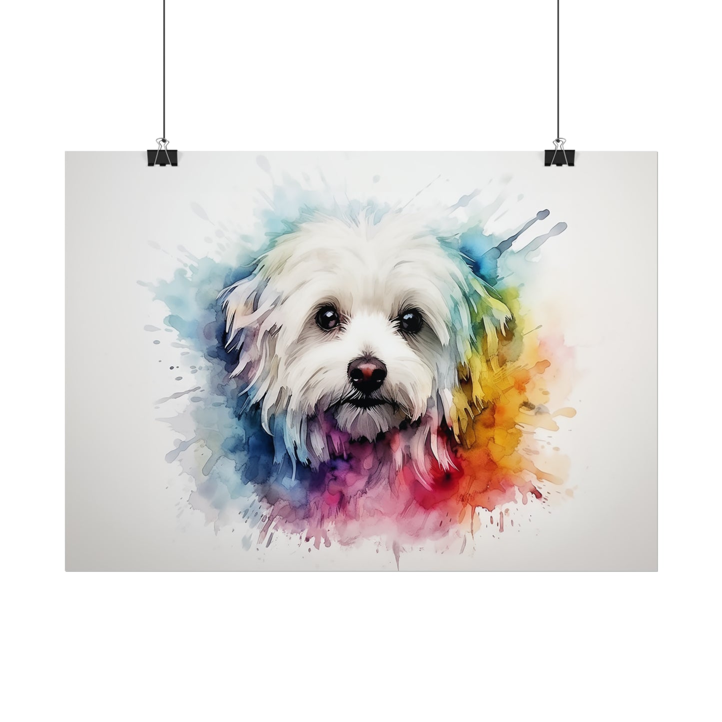 Rainbow Maltese