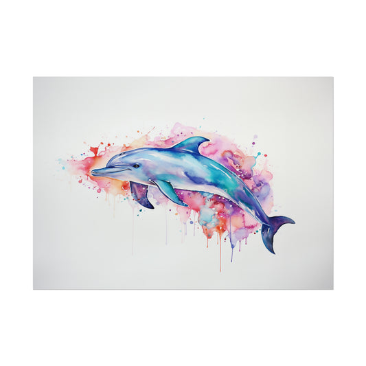 Rainbow Dolphin