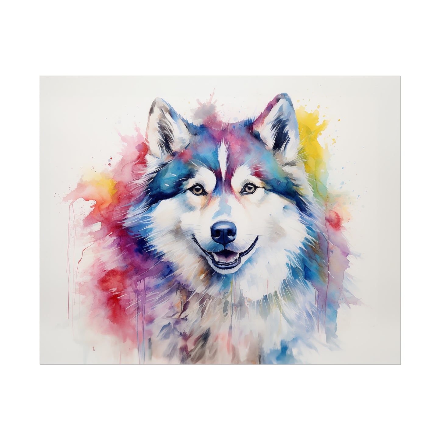 Rainbow Alaskan Malamute