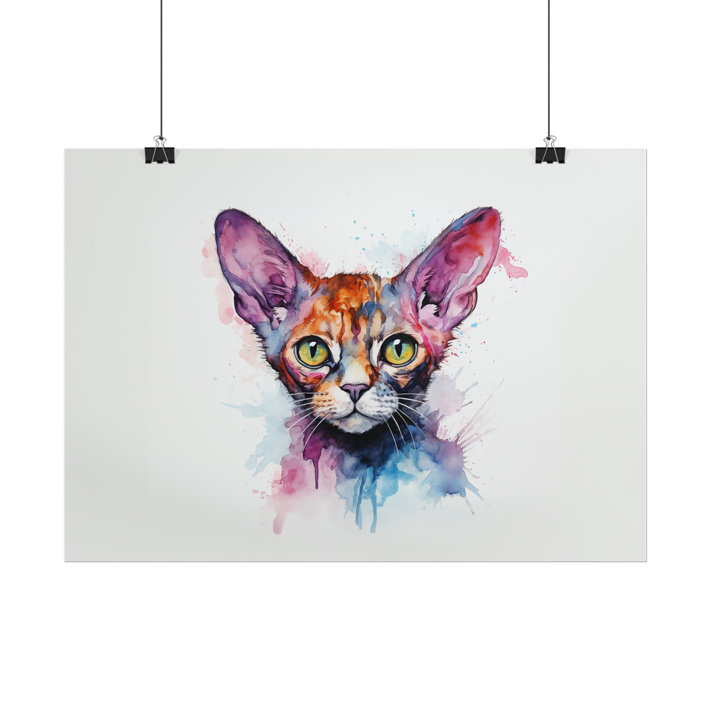 Rainbow Devon Rex Cat