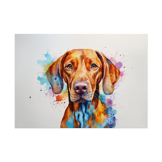 Rainbow Hungarian Vizsla