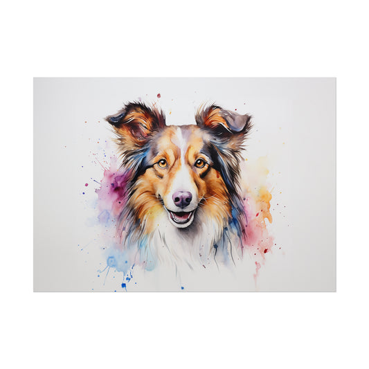 Rainbow Sheltie