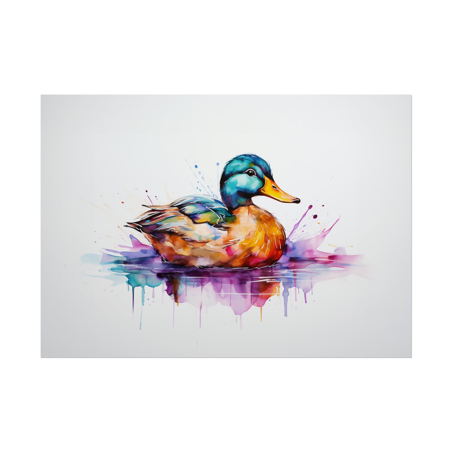 Rainbow Duck