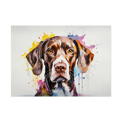 Rainbow German Shorthaired Pointer