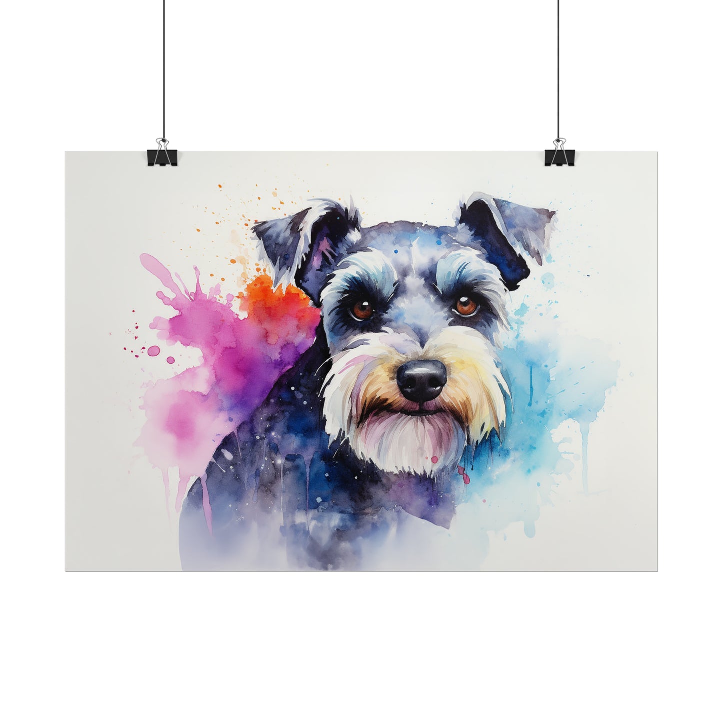 Rainbow Schnauzer