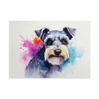 Rainbow Schnauzer