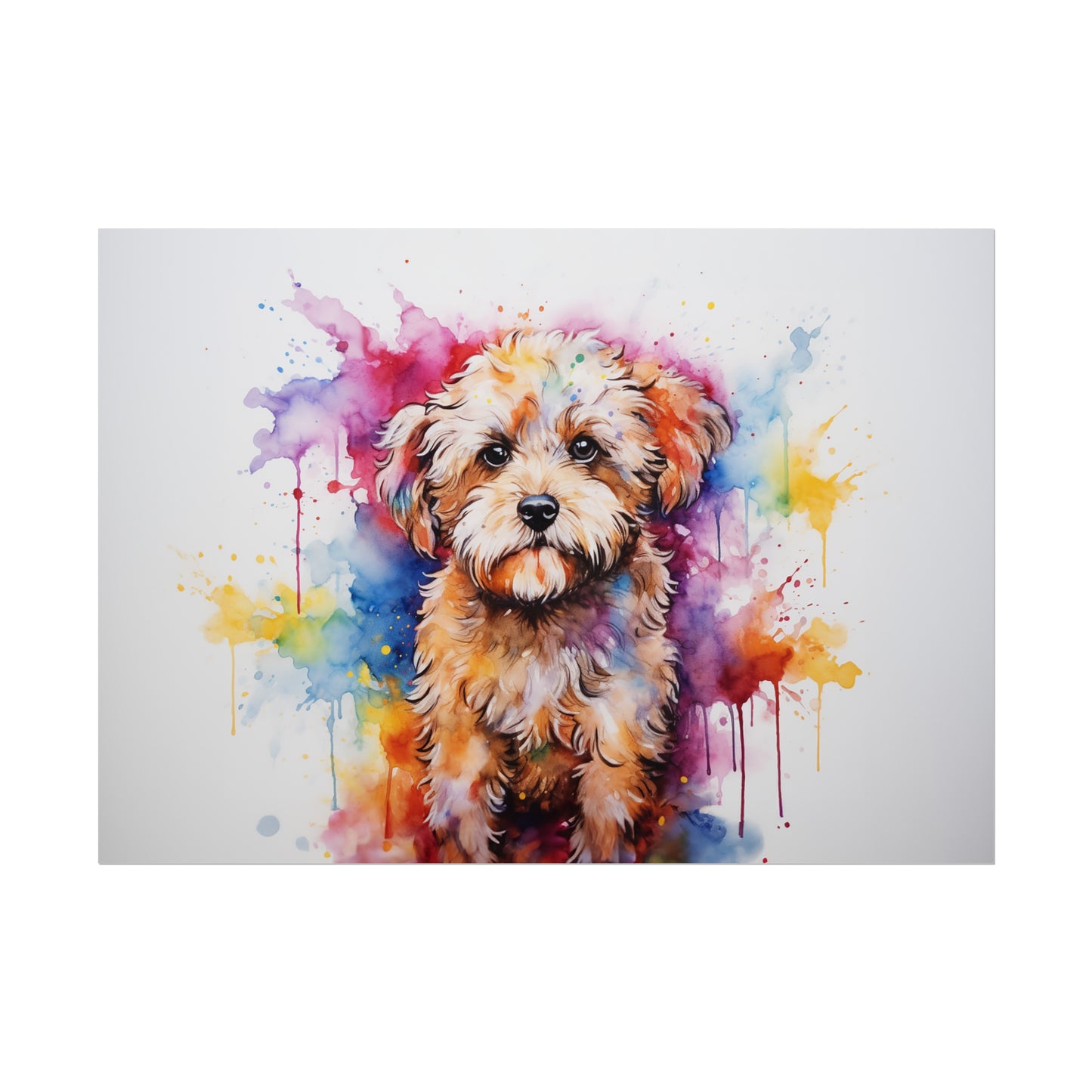 Rainbow Cavoodle