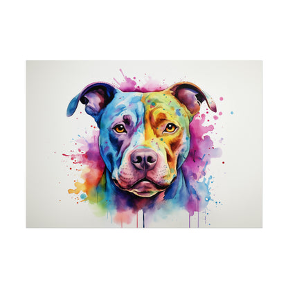 Rainbow American Pitbull