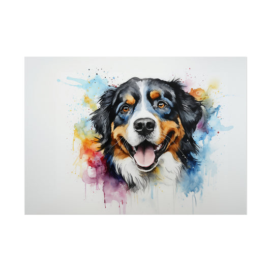 Rainbow Bernese Mountain Dog