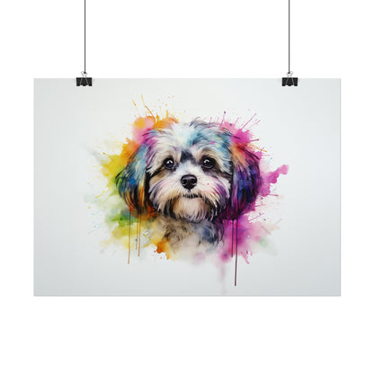 Rainbow Shih Tzu