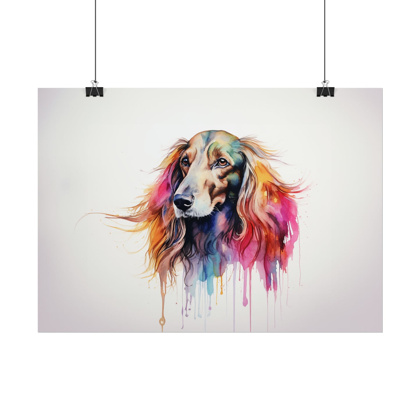 Rainbow Afghan Hound