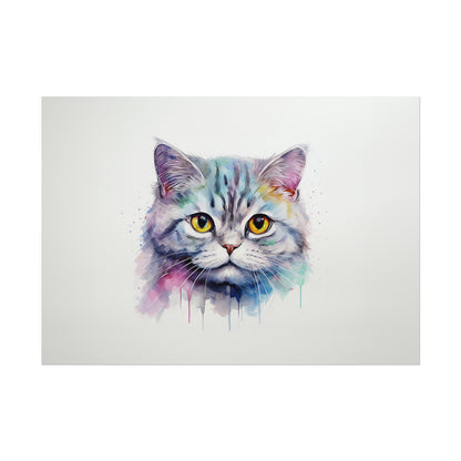 Rainbow British Shorthair Cat