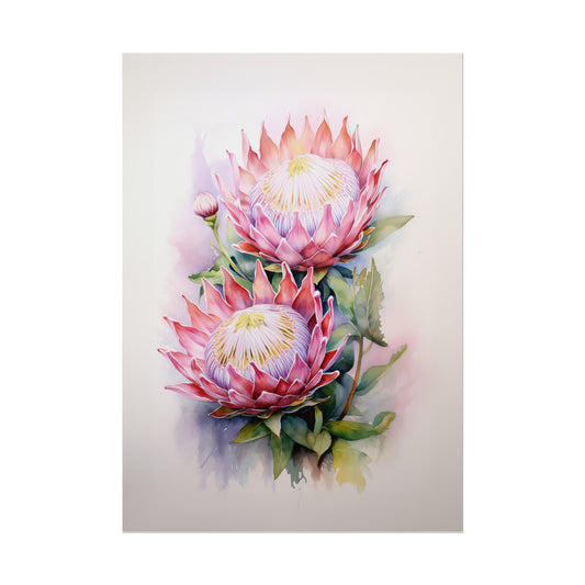 Proteas