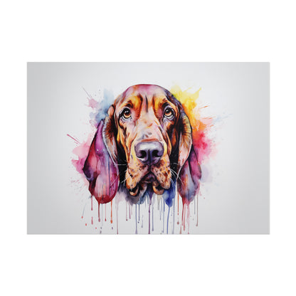 Rainbow Bloodhound