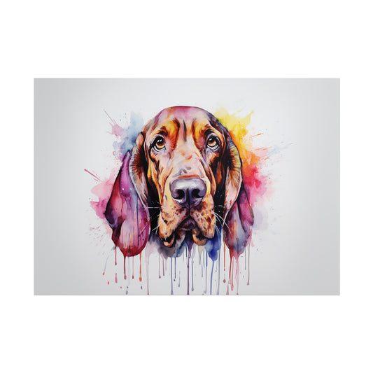 Rainbow Bloodhound