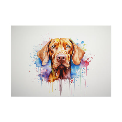 Rainbow Hungarian Vizsla