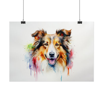 Rainbow Sheltie