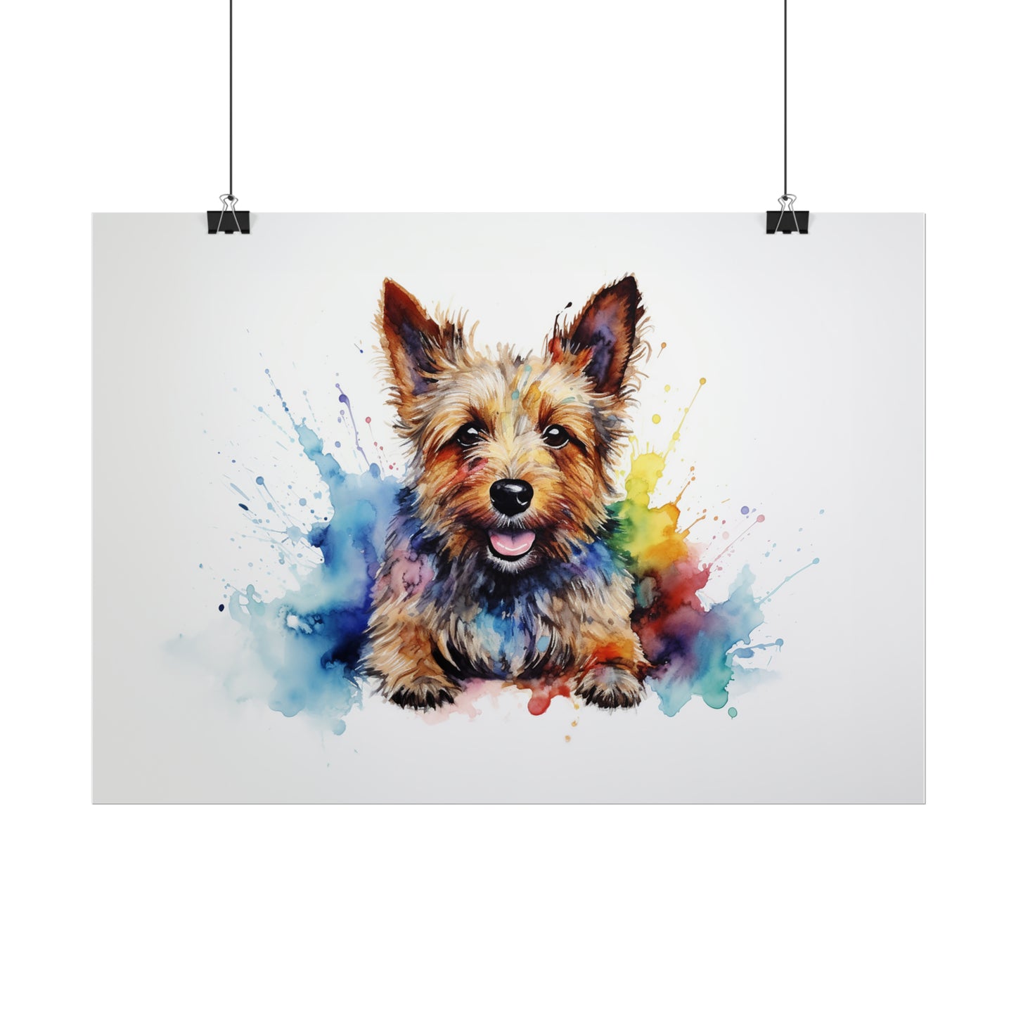 Rainbow Australian Terrier