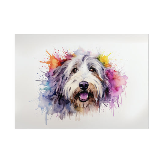 Rainbow Old English Sheepdog