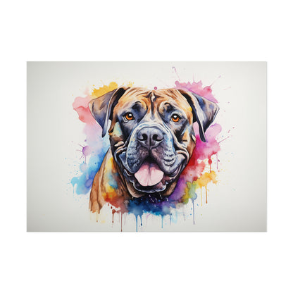 Rainbow Cane Corso