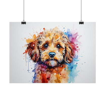 Rainbow Cavoodle