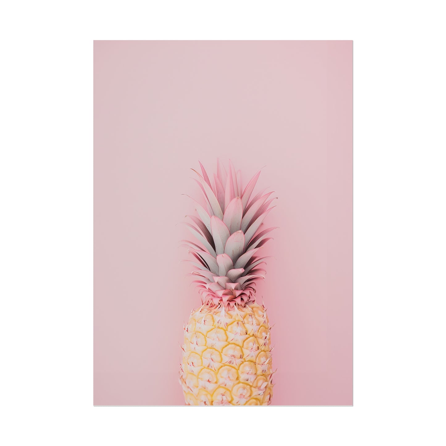 Pink Pineapple