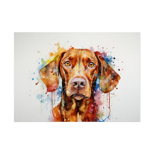 Rainbow Hungarian Vizsla