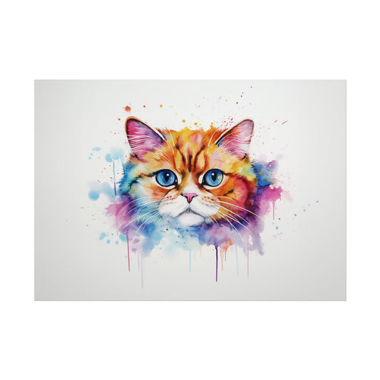 Rainbow Exotic Shorthair Cat