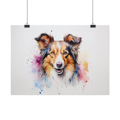 Rainbow Sheltie