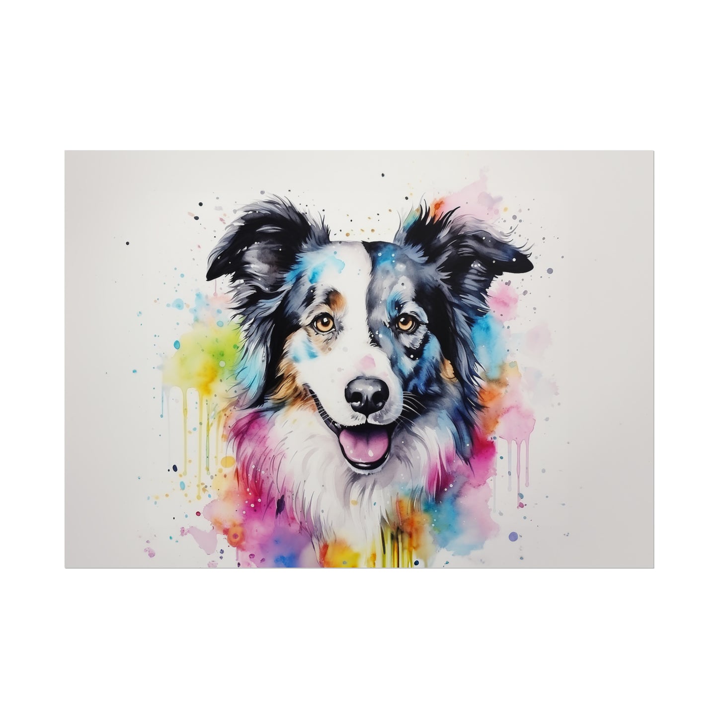 Rainbow Border Collie