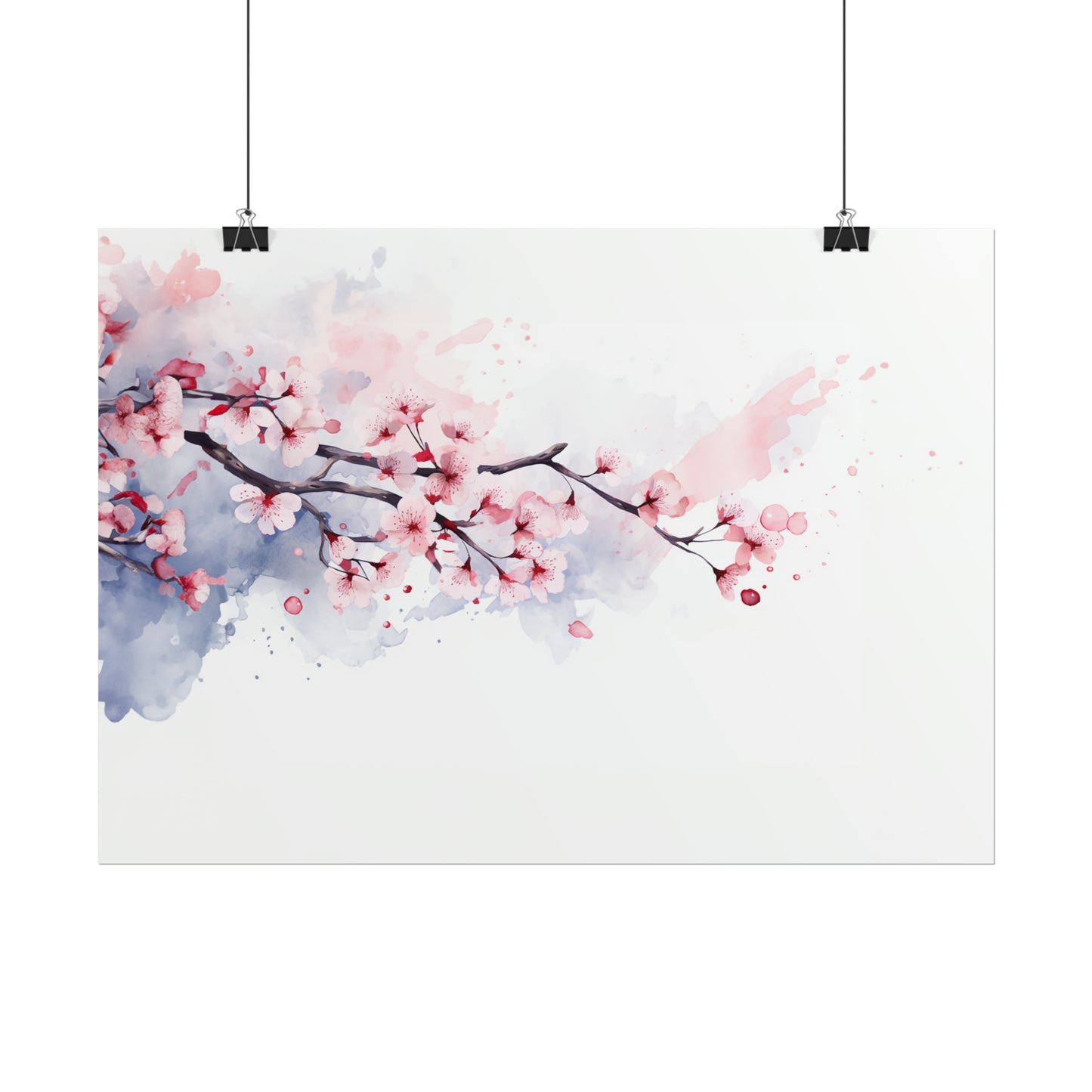 Cherry Blossoms