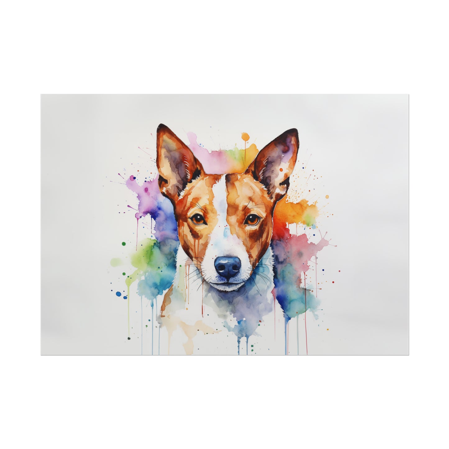 Rainbow Basenji