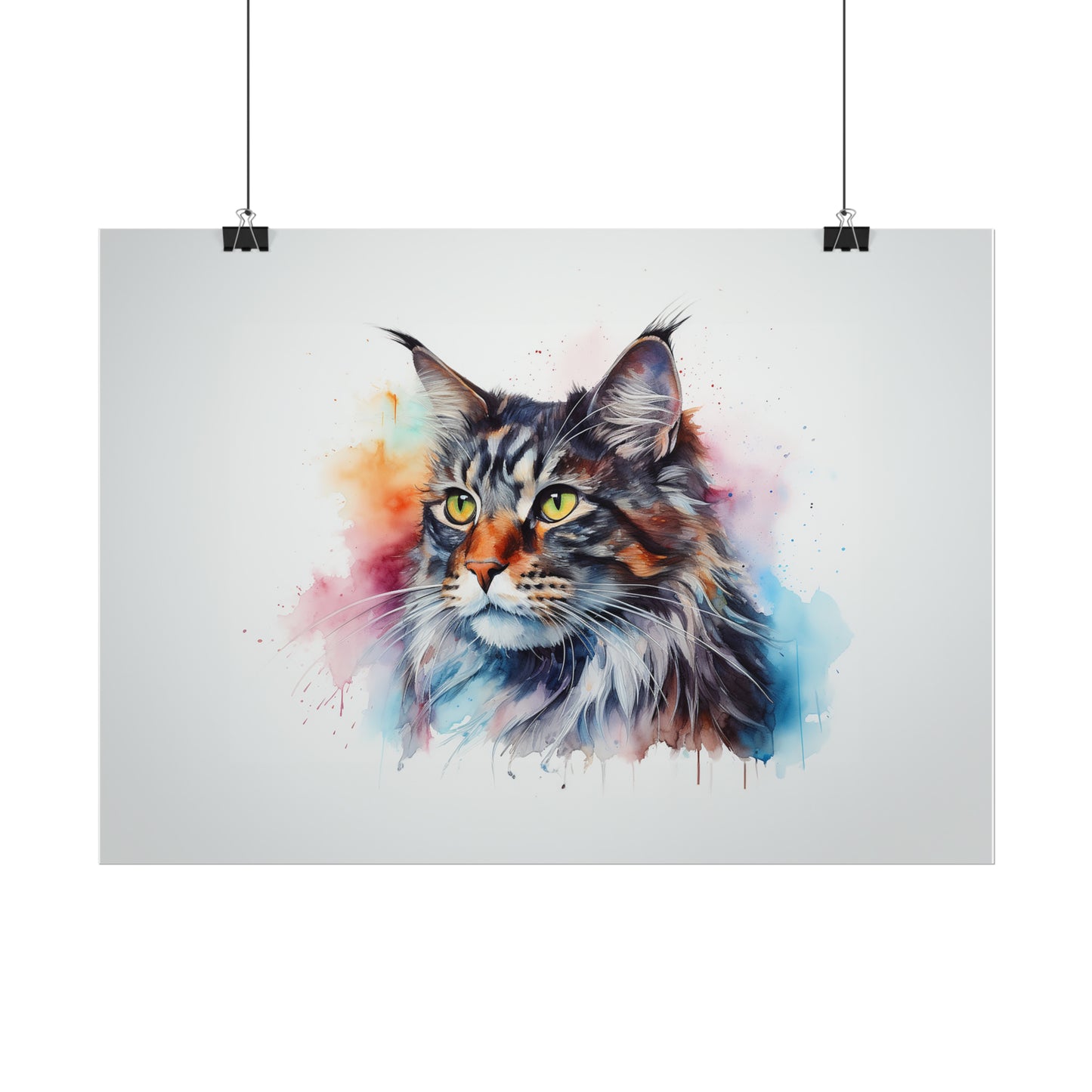 Rainbow Maine Coon Cat