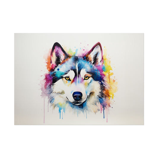 Rainbow Siberian Husky