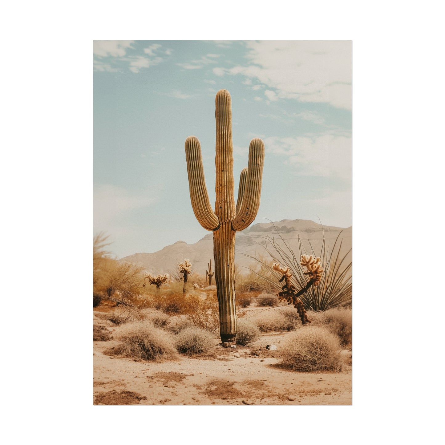 Vintage Cactus