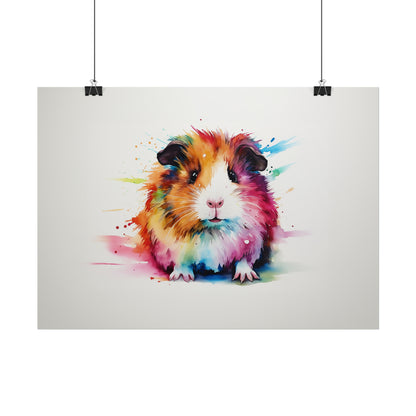 Rainbow Guinea Pig